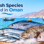 Top Fish Species Found in Oman